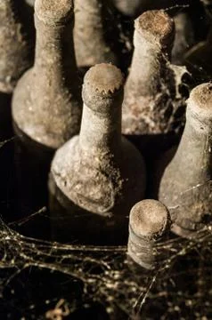 A wine cellar with bottles Stock Photos