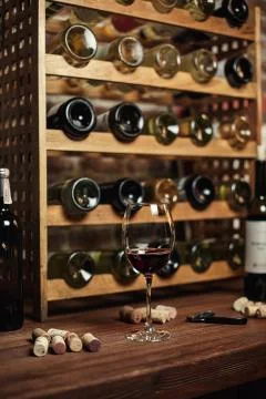 Wine cellar with bottles on wooden shelves Stock Photos