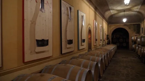 Wine cellar filled with oak barrels  Stock Footage 105564628