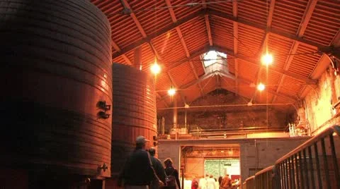 Wine cellar 動画素材 22118518