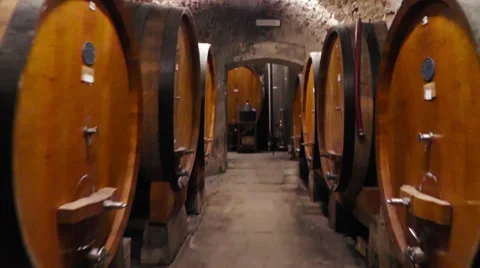 Wine cellar. Stock-Footage 36731250