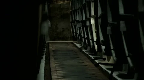 Wine Cellar Stock Footage 52558037