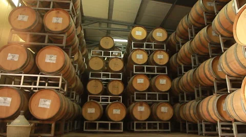 Wine cellar Stock Footage 54568159