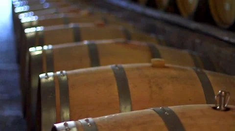 Wine cellar Stock Footage 62472722