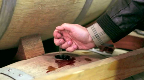 Wine cellar Stock Footage 62473131