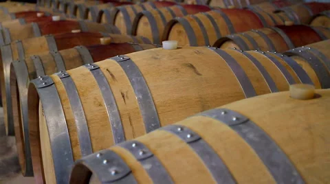 Wine cellar Video stock 62474551