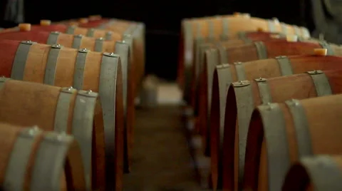 Wine cellar Stock Footage 62551378