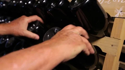 Wine cellar Stock Footage 77100591