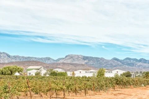 Wine cellar in McGregor Fotos de archivo