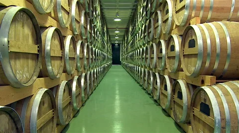 Wine cellar with oak barrels. Video stock 62466776