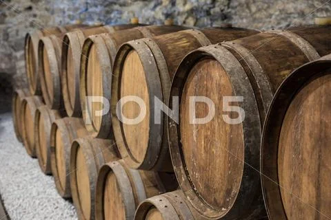 Wine cellar with oak barrels Stock Photos