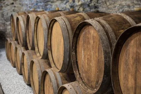 Wine cellar with oak barrels Stock Photos