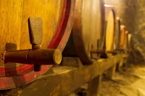 Wine cellar Stock Photos