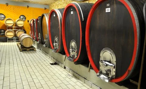 Wine cellar Stock Photos