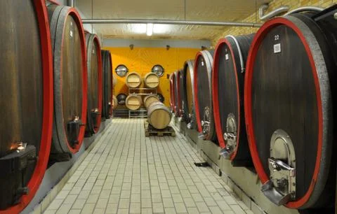 Wine cellar Stock Photos