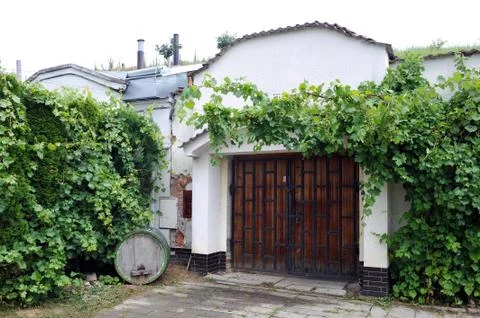 Wine cellar Stock-Fotos