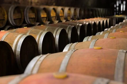 A wine cellar. Stock Photos