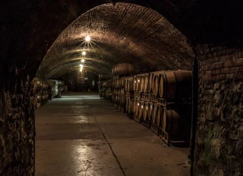 Wine Cellar Stock Photos