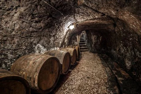 Wine cellar Stock Photos