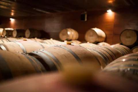 Wine cellar Stock Photos