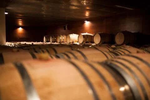 Wine cellar Stock Photos