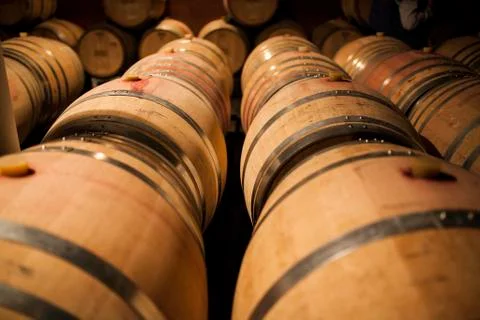 Wine cellar Stock Photos