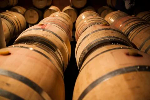 Wine cellar Stock Photos