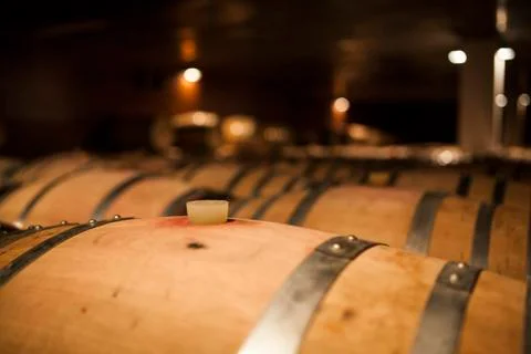 Wine cellar Stock Photos