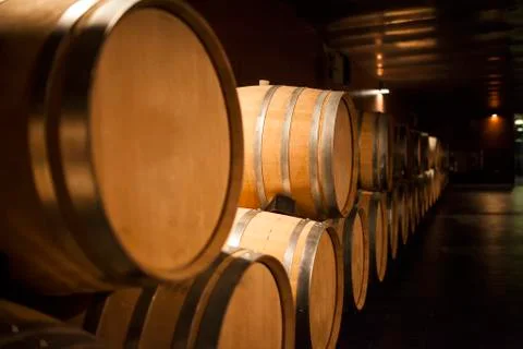 Wine cellar Stock Photos