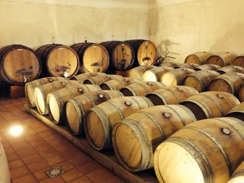 Wine Cellar Stock-Fotos