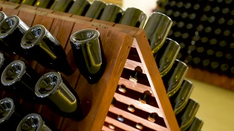 A Wine Cellar. Storage Room for Wine in Bottles and Barrels. Old wine Stock Footage 227946830