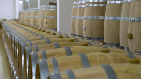 A Wine Cellar. Storage Room for Wine in Bottles and Barrels. Old wine Stock Footage 227948289