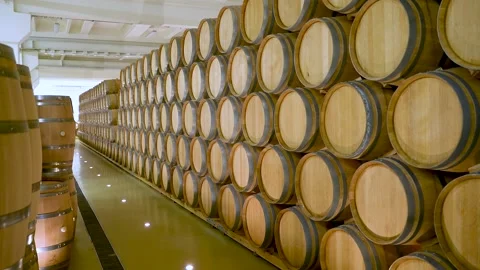 A Wine Cellar. Storage Room for Wine in Bottles and Barrels. Old wine Stock Footage 227950818