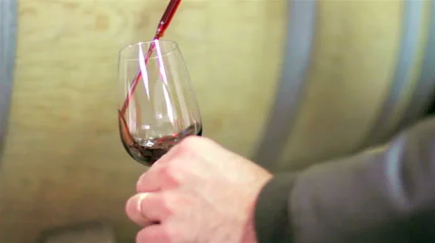Wine cellar tasting Stock Footage 62551462