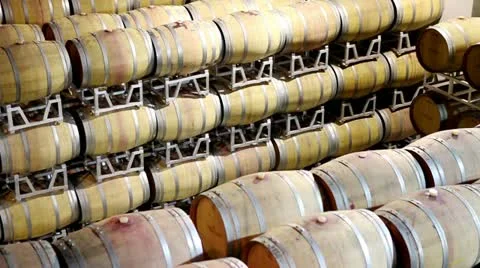 A wine cellar in the Terre da Vino winery, Barolo, Piedmont, Italy Stock Footage 24668334