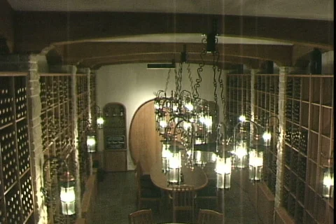 Wine Cellar-tilt Stockbeeldmateriaal 821117