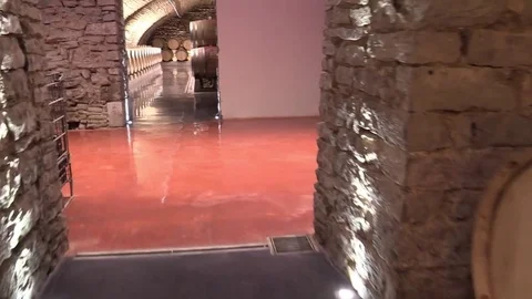 Wine cellar with wine tons Stock Footage 83445002