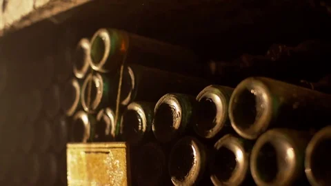 Wine cellar in winery Stock Footage 76907141