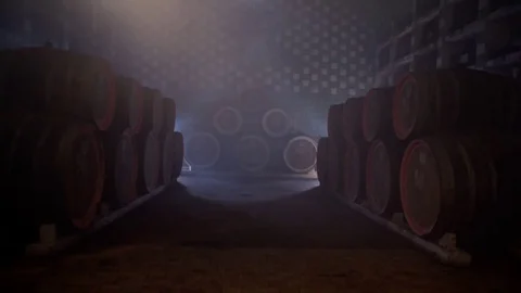 Wine cellar in winery Stock Footage 76907144