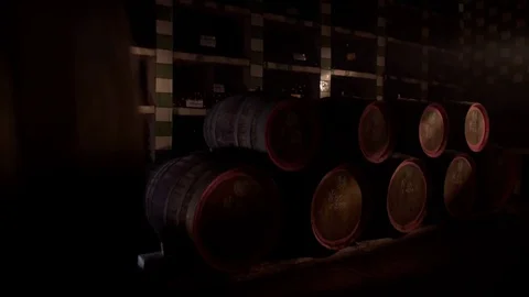 Wine cellar in winery Stock Footage 76907149