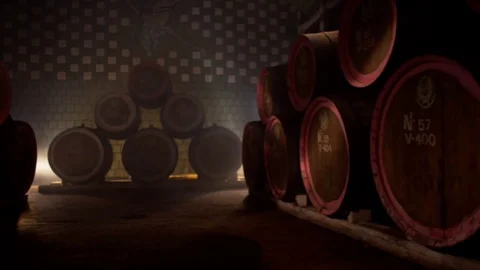 Wine cellar in winery Stock Footage 76907185