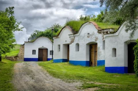 Wine cellars Stock Photos