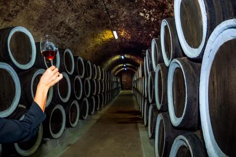 Wine cellars Stock Photos