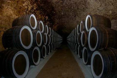 Wine cellars Stock Photos