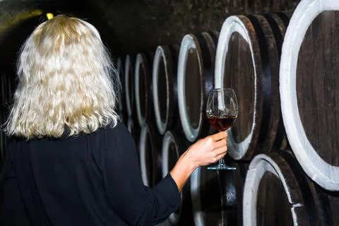 Wine cellars Stock Photos