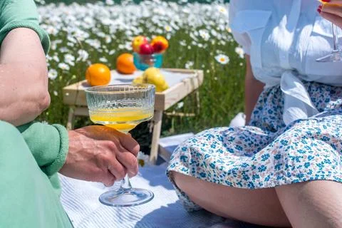 Wine in a chamomile field Stock Photos