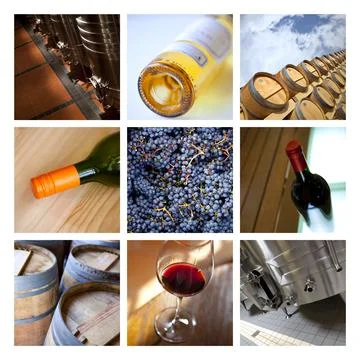 Wine collage Stock Photos