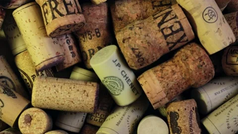 Wine cones cinematic shot Stockbeeldmateriaal 181507765