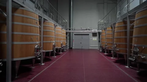 Wine containers in a large factory Stock Footage 164921781