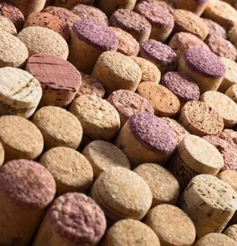 Wine cork background Stock Photos